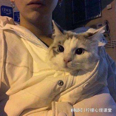 机甲游侠荒野暴走最新版下载